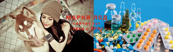 герыч Абаза