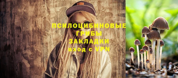 герыч Абаза