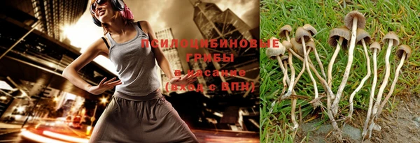 индика Абдулино
