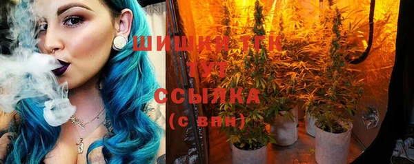 СК Абинск