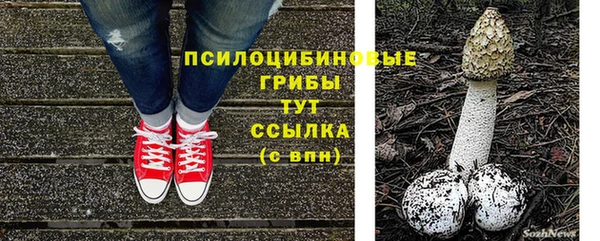 индика Абдулино